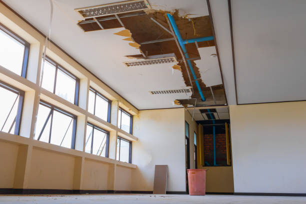 Best Sewage cleanup and water damage restoration  in Mercedes, TX