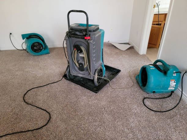  Mercedes, TX Water damage restoration Pros