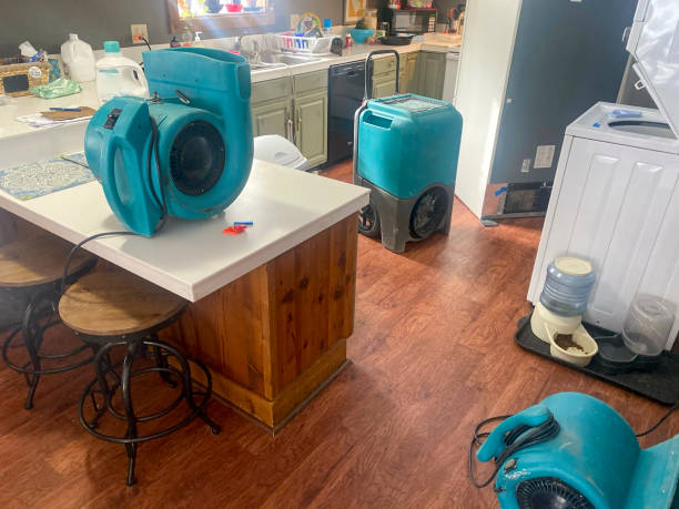 Best Local water damage restoration  in Mercedes, TX