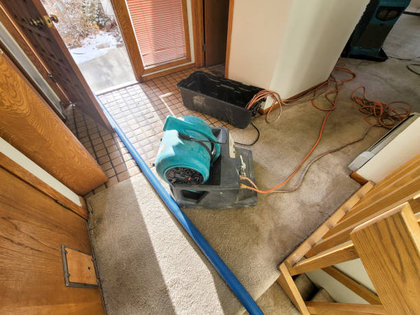 Best Water damage restoration cost  in Mercedes, TX