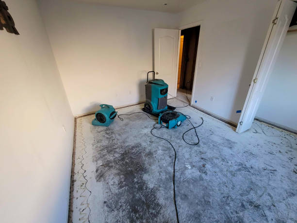 Trusted Mercedes, TX Water damage restoration Experts