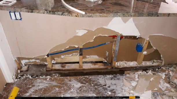 Best 24-hour water damage restoration  in Mercedes, TX