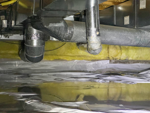 Best Flood damage cleanup  in Mercedes, TX