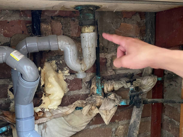 Best Water damage restoration experts  in Mercedes, TX