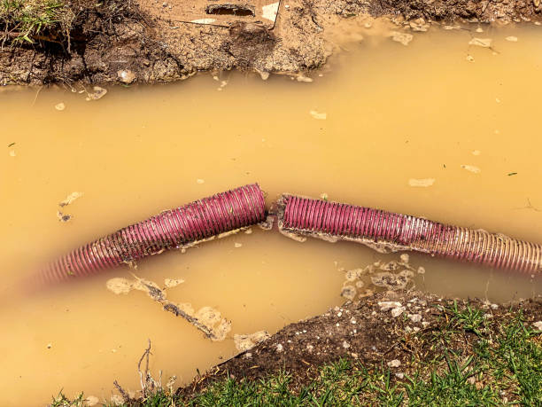 Best Water damage restoration mold remediation  in Mercedes, TX
