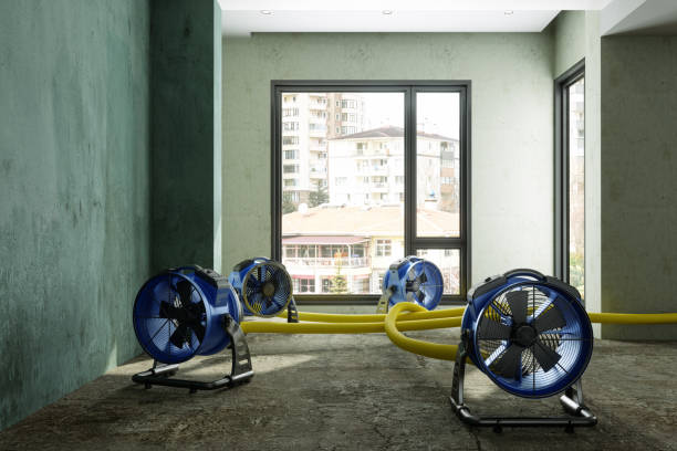 Water damage restoration insurance claims in Mercedes, TX